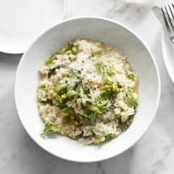 Pillivuyt Coupe Porcelain Soup/Pasta Plates