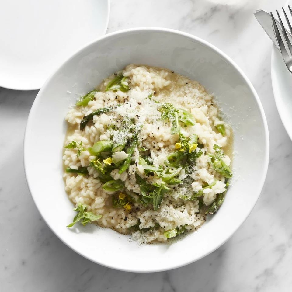 Pillivuyt Coupe Porcelain Soup/Pasta Plates